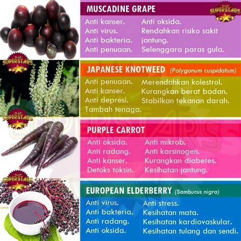 Banyak perkara yang ingin saya kongsikan kepada anda semua. APA ITU VIVIX SHAKLEE - Pengedar Shaklee, COD Shaklee ...