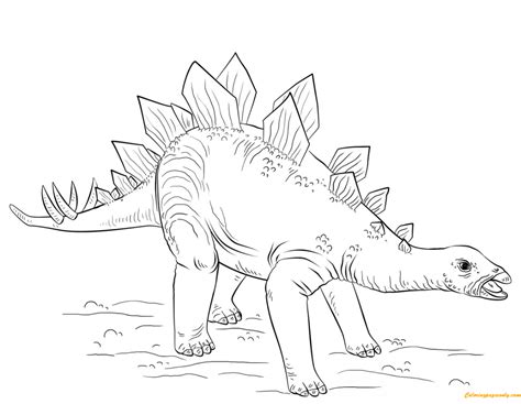 Stegosaurus Dinosaur Coloring Page Dinosaur Coloring Pages Dinosaur