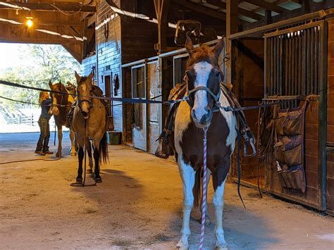 The 10 Best Georgia Horseback Riding Tours With Photos