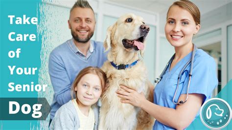 Urgent need these animals need your help. Compassionate Ways to Take Care of Your Senior Dog | Cute ...