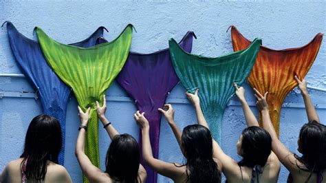 Mermaid School Is The Best Education You Never Knew You Wanted