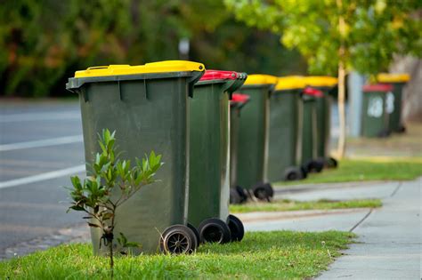 Four Bins Might Help But To Solve Our Waste Crisis We Need A Strong