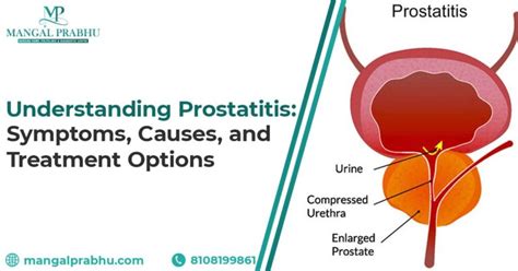 Prostatitis What You Need To Know