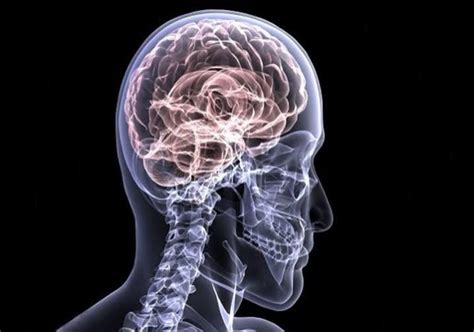 How Does Neurosurgery Help In Diagnosis Of Brain Tumor