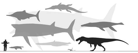Chunks of it were made of cartilage, which proceeded to not fossilize and make things very leedsichthys fossils have been difficult to interpret, because the skeletons were not completely made of bone. WWD - Oxford Clay (and Ornatenton) Formation by ...