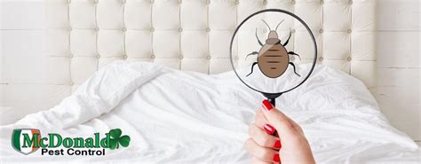 7 Signs Of Bed Bugs In Your Home Mcdonald Pest Control