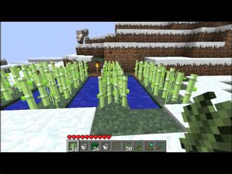 There is no way to make it grow faster. Minecraft sugar cane farm tutorial - YouTube