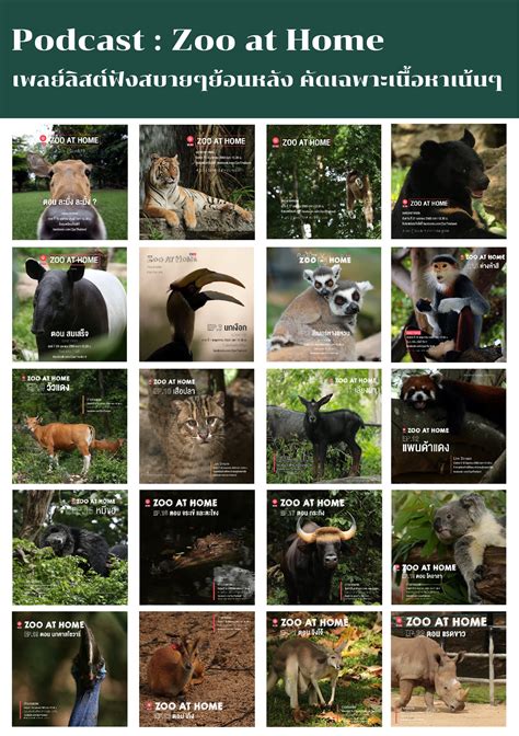 สอบวันที่ 10 เม.ย.64 ประกาศผลสอบประมาณวันที่ 27 เม.ย.64 แจกฟรีหนังสือเรียน/เตรียมสอบ/ทั่วไป - Home | Facebook