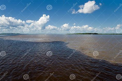 Meeting Of Waters In The Amazon In Brazil Stock Image Image Of River