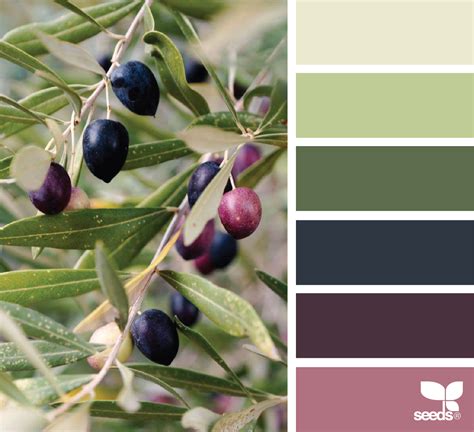 Olive Hues Green Colour Palette Seeds Color Design Seeds