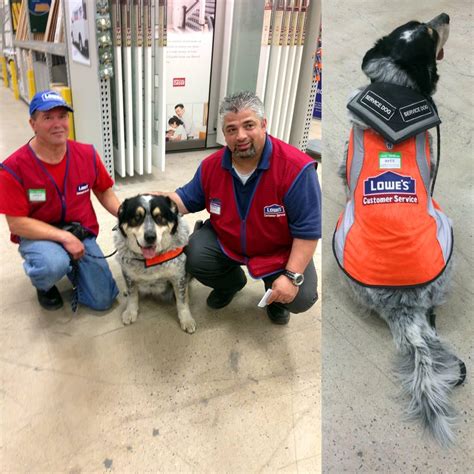 Lowe's Hires Man and Service Dog | POPSUGAR Pets