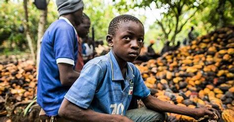 Following Child Labour Backlash Nestle Proposes To Pay African Cocoa