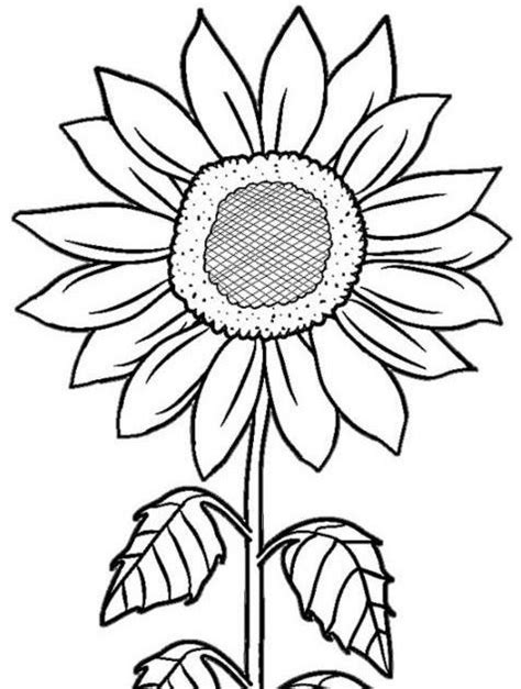 Jangan lupa simak juga postingan terbaru dari kita 28+ daftar sketsa untuk gambar kolase terkeren. 27+ Gambar Bunga Matahari Buat Kolase di 2020 | Bunga matahari, Sketsa, Cara menggambar