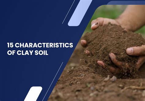 15 Characteristics Of Clay Soil Shreeram Kaolin