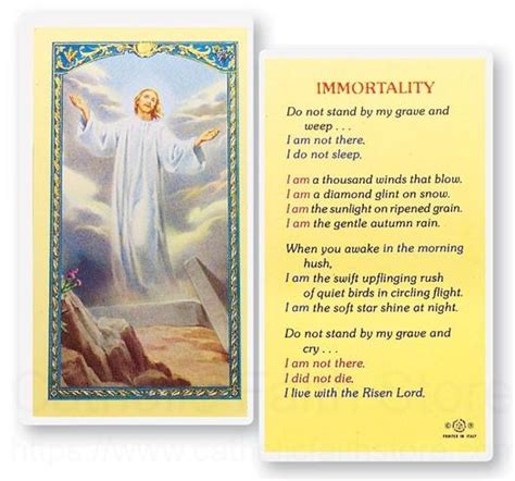 Immortality Risen Christ Laminated Prayer Cards 25 Pack