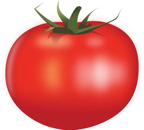 Jedzenie Pomidor Warzywo Czerwony Darmowa Grafika Wektorowa Na Pixabay
