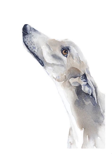 Dobby Tattoo Idea Pintura Perro Arte De Galgos Arte Del Perro