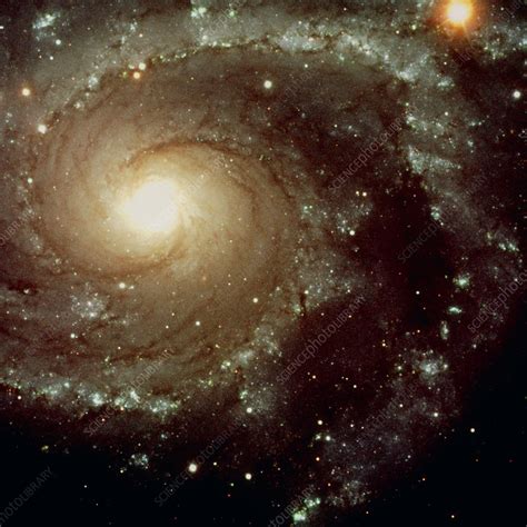 Spiral galaxy - Stock Image - R820/0348 - Science Photo ...