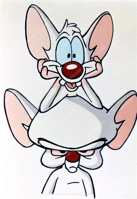 Animated Cartoon Characters Tv Pinky And The Brain 35m 6681 Animated