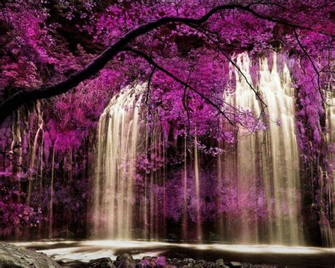 Purple Waterfall Wallpapers Top Free Purple Waterfall Backgrounds