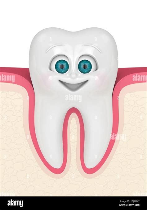 3d Render Of Cartoon Smiling Mr Tooth In Gums Over White Backgorund