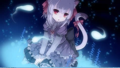 Cat Wallpaper Anime Girl Petswall