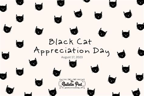 Black Cat Appreciation Day — The Bulletin Post