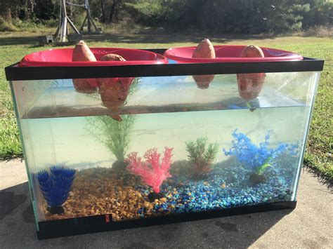 125 Gallon Fish Tank Glass Thickness Wese Aquarium Fish