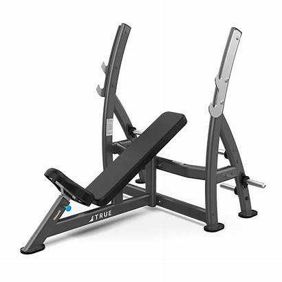 Bench Press Incline Plate True Xfw Holders