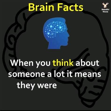 Amazing Brain Facts Video Brain Facts Empathy Quotes Fact Quotes