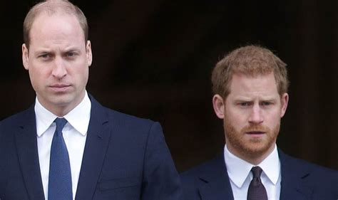 Prince William Cant Completely Forgive Harry After Great Disrespect