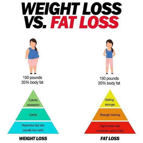 Weight Loss Vs Fat Loss What You Should Know