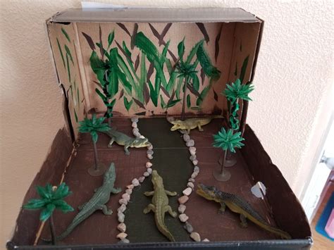 Each habitat often has a different mixture of species living there. Jordyn's Alligator Habitat Shoebox | Habitats projects, Diorama kids, Habitat activities
