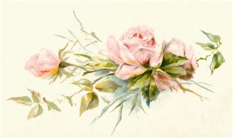 Antique Images Free Flower Graphic Vintage Pink Rose Clip Art From