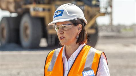 She was in a relationship with her boyfriend fro the year 2015 to 2018. Queensland Premier Annastacia Palaszczuk's healthy bump in ...