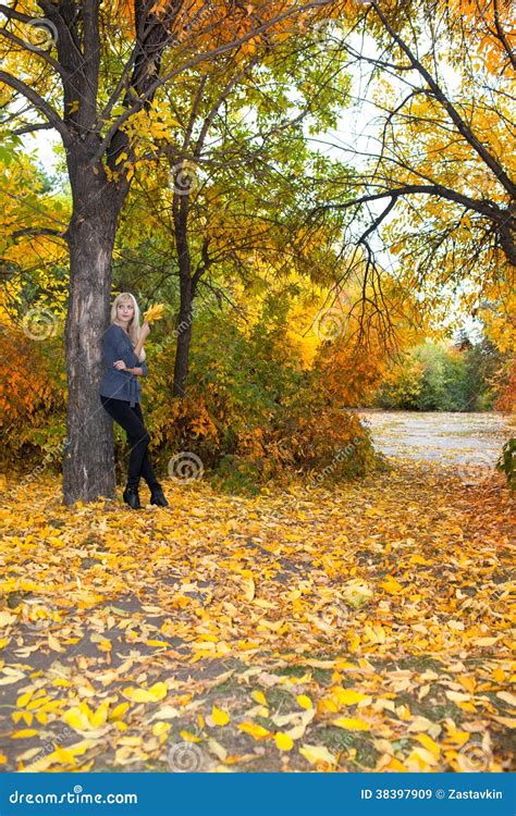 Young Beautiful Woman In Autumn Park Stock Image Image Of Foliage