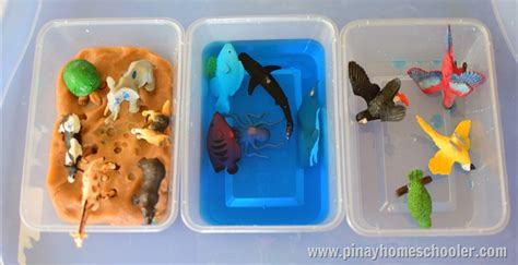 Introducing Toddlers To Animals In Land Water And Air The Pinay