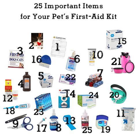 25 Important Items For Your Pets First Aid Kit