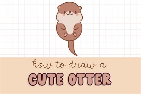 How To Draw A Cute Otter Easy Beginner Guide