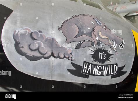 Bomber Nose Art Hi Res Stock Photography And Images Alamy