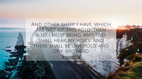 John 1016 Kjv Desktop Wallpaper And Other Sheep I Have Which Are