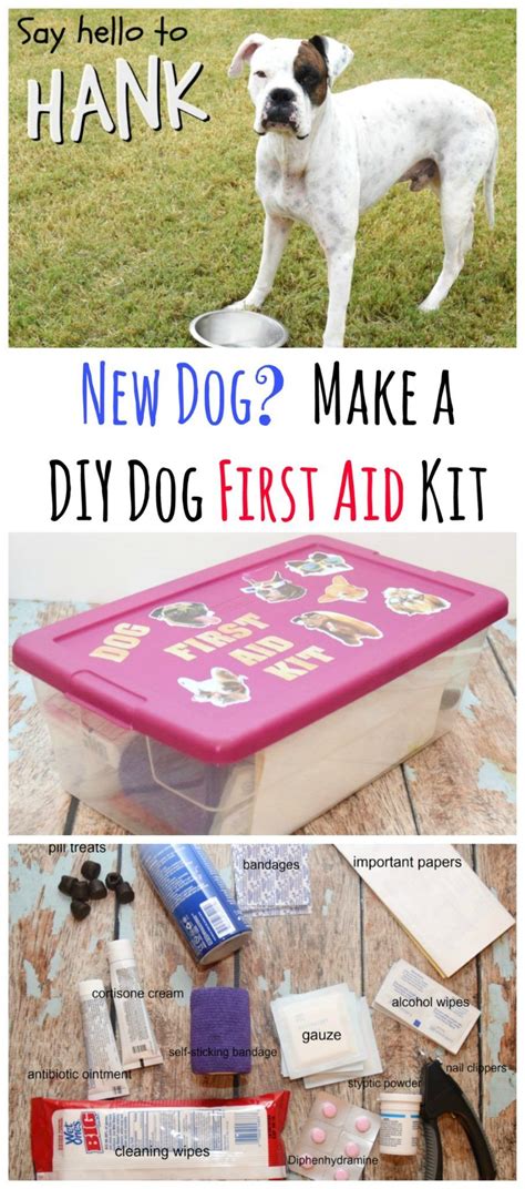 Make A Diy First Aid Kit For Your New Dog Ad Newbeneful Rescuedog