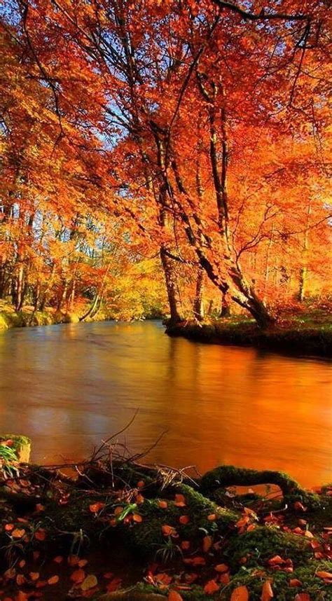 Autumn The Most Beautiful And Romantic Season Of The Year Enchants