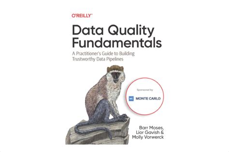 The Significance Of Oreillys Data Quality Fundamentals