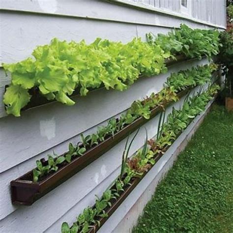 10 Easy Diy Vertical Garden Ideas Off Grid World