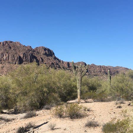 Questions from campers in the queen creek, az area. San Tan Mountain Regional Park (Queen Creek) - 2018 All ...