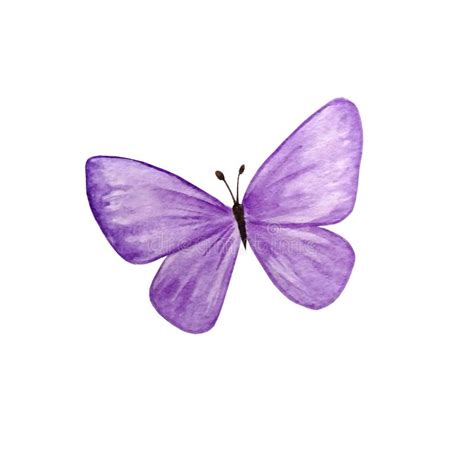 Purple Butterfly Background Stock Illustrations 27224 Purple