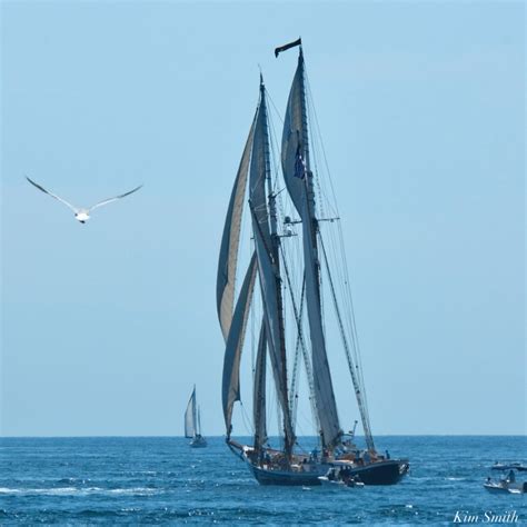 Columbia Gloucester Schooner Festival Parade Of Sail 38th Annual 2022