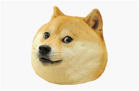 Dog Head Png Dog Meme Face Png Free Transparent