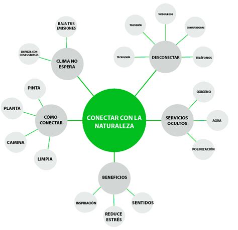 Mapa Mental Vs Mapa Conceptual Diferencias Ejemplos Y Definición